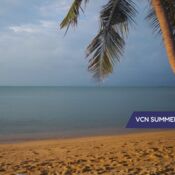 VCN Summerschool consumptief- en zakelijk krediet